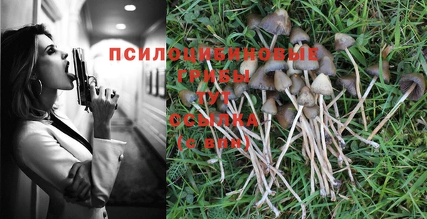 не бодяженный Алзамай