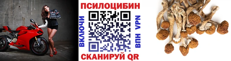 Галлюциногенные грибы мицелий Костерёво