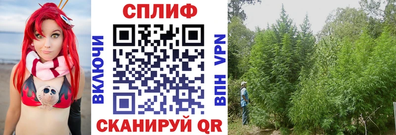 Бошки Шишки индика  Костерёво 